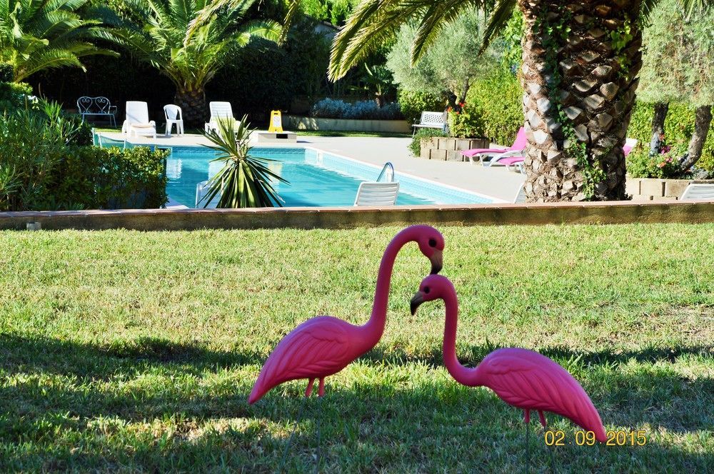 Villa Les 4 Saisons Saint Tropez Zewnętrze zdjęcie